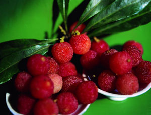 Berry Fruit Flavour Berry Fruit Flavour